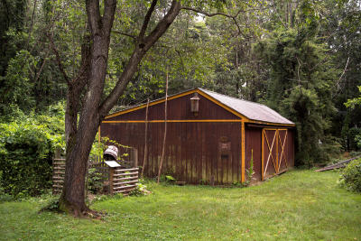 At The Audubon Society, #2
