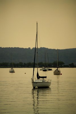 Sailboats Still Sleeping at Dawn