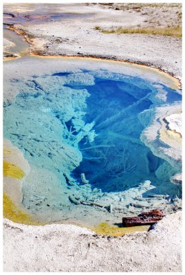 Hot Spring, Yellowstone National Park