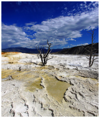 Mammoth Hot Springs, Yellowstone National Park