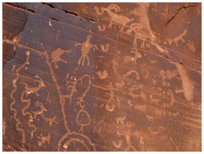 Moonflower Canyon petroglyphs