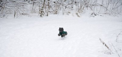 IMG_7623 copy.jpg