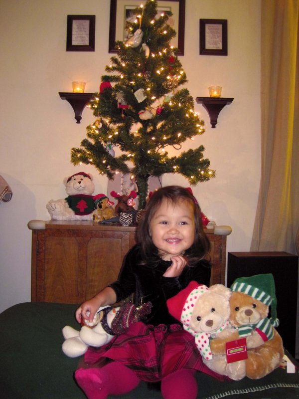 20111211_Abi_Tree.jpg