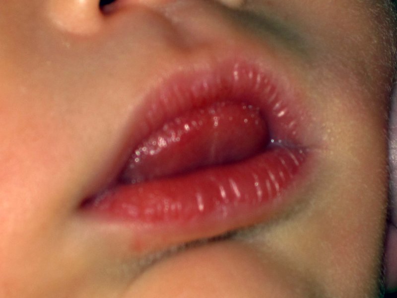 20120131_Rosebud.jpg