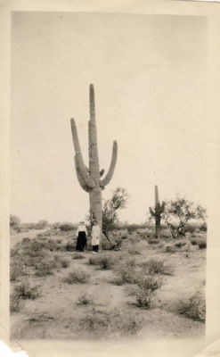 Scan10017.JPG