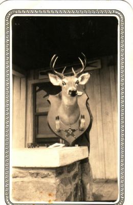 Scan10127.JPG