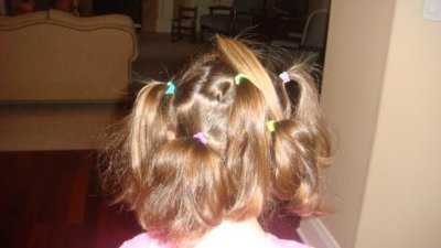 the back view