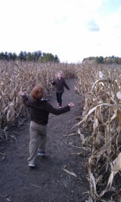 finding clues in the corn maze, for a prize!