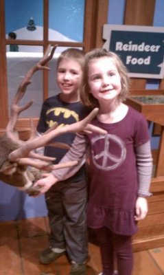 feeding the reindeer