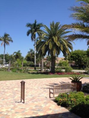 the property