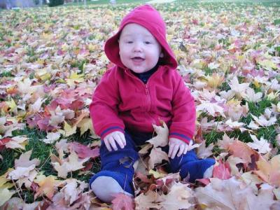 boy sitting in leaves all by himself (for a few seconds anyway)