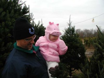 lis checking out the trees