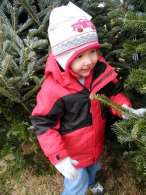 at the tree farm