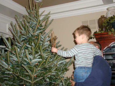 joey hangs the star