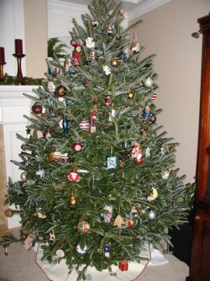 pretty tree