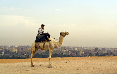At the pyramids; Cairo in background 0755