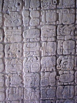 Tikal, glyphs 1141