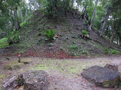 an unexcavated structure 1215