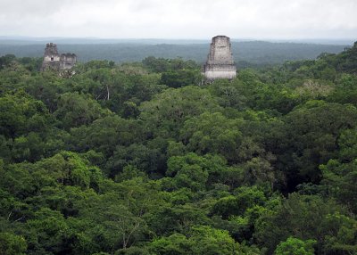 Tikal, from top of Temple IV 1227