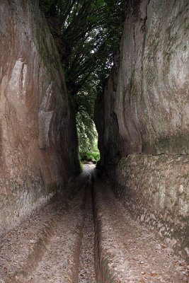 Vie Cave,  Etruscan path near Sovana 6752