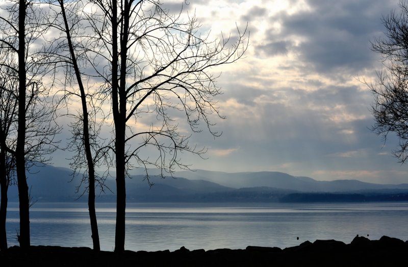 12-31-11_030_1.jpg