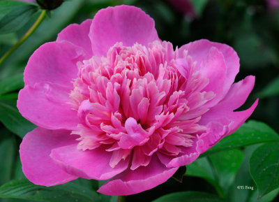 5-27-12_073.jpg