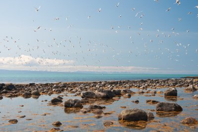 _DSC7355.jpg