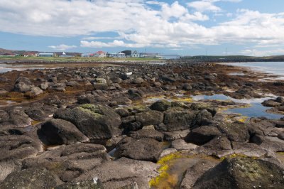 _DSC7368.jpg