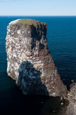 _DSC7383.jpg