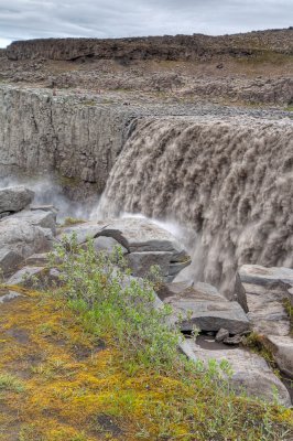 _DSC7537.jpg
