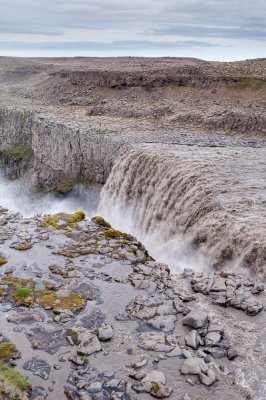 _DSC7538.jpg