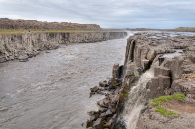 _DSC7543.jpg