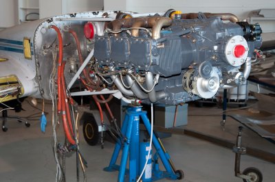 _DSC7803.jpg