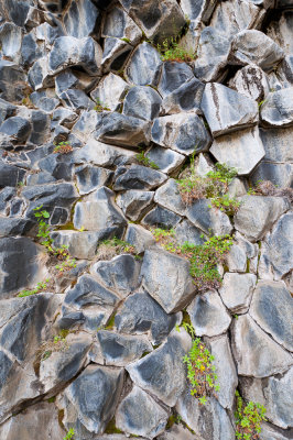 _DSC7506.jpg