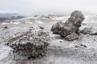 _DSC7896.jpg
