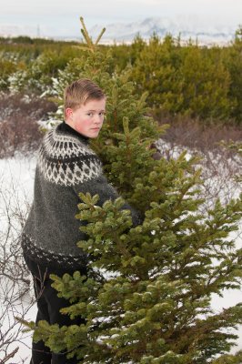 Jólatrésferð Í Heiðmörk