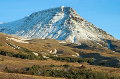 DSC_3766.jpg