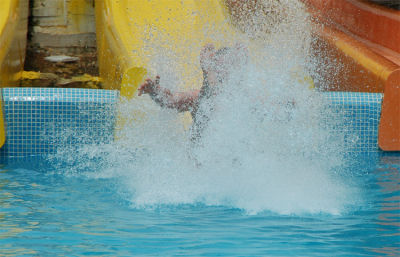 DSC_5338.jpg