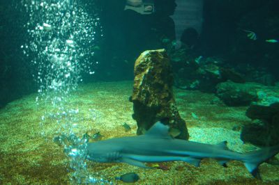 DSC_5614.jpg