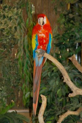 DSC_5622.jpg