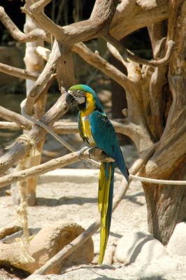DSC_5632.jpg