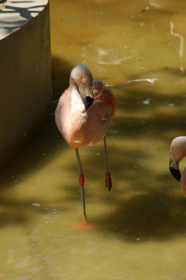 DSC_5636.jpg