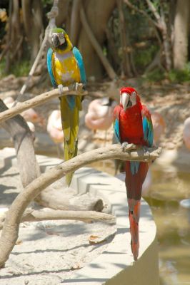 DSC_5646.jpg
