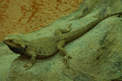 DSC_5692.jpg