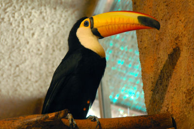 DSC_5699.jpg