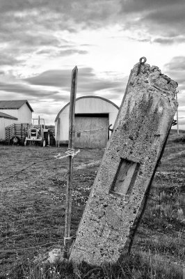DSC_6239.jpg