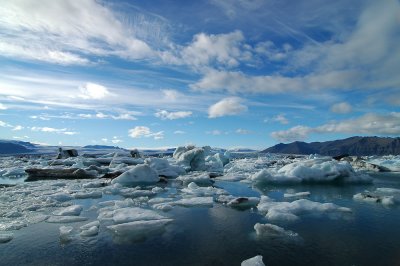 DSC_0195.JPG