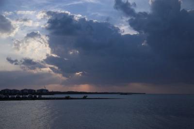 FloridaIMG_0741MerritIsland-01 800x533.jpg
