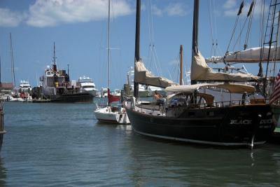 FloridaIMG_0776MerritIsland-01 800x533.jpg