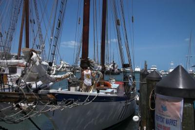 FloridaIMG_0787MerritIsland-01 800x533.jpg